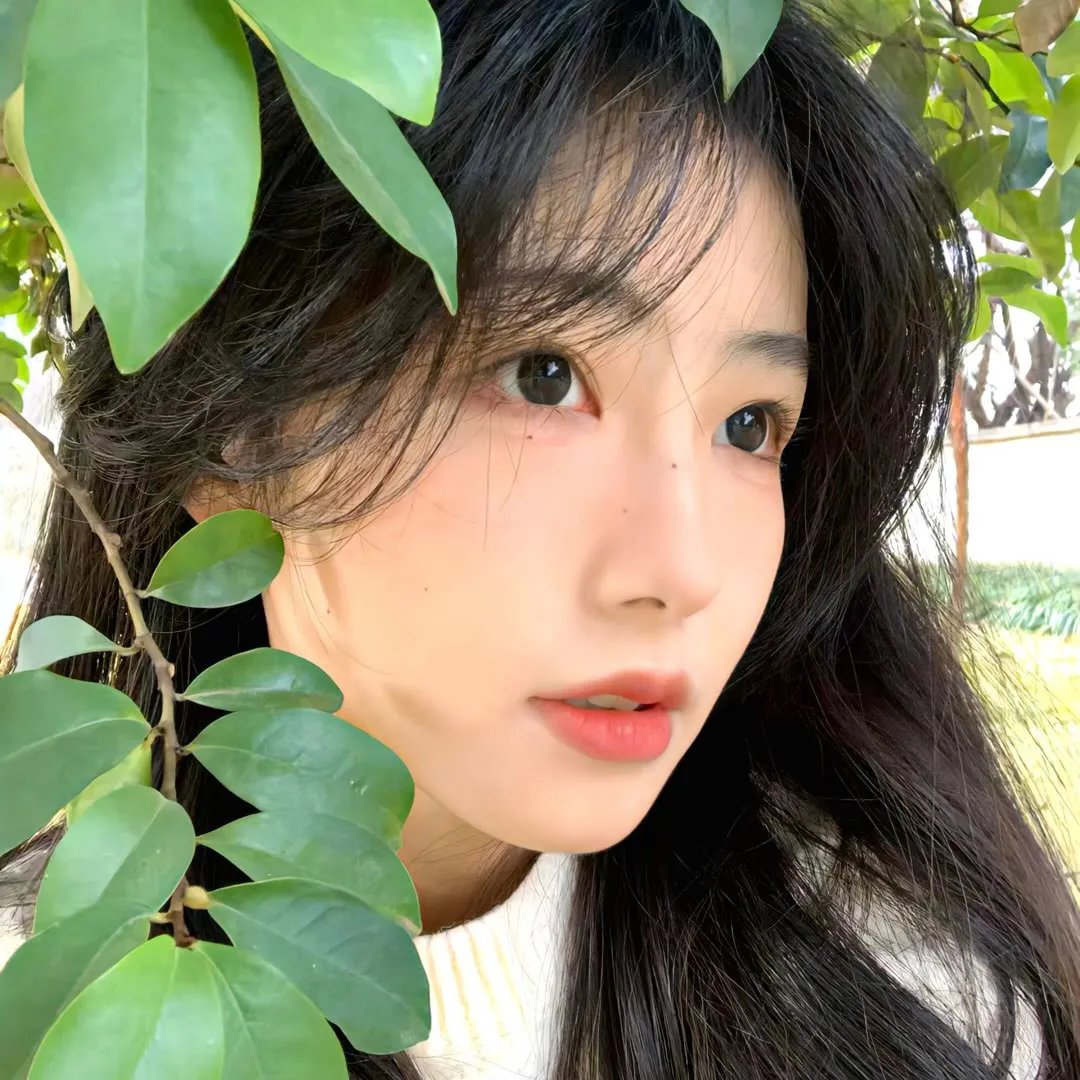 生活,高于一切
