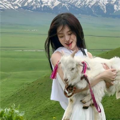 反诈骗行动组