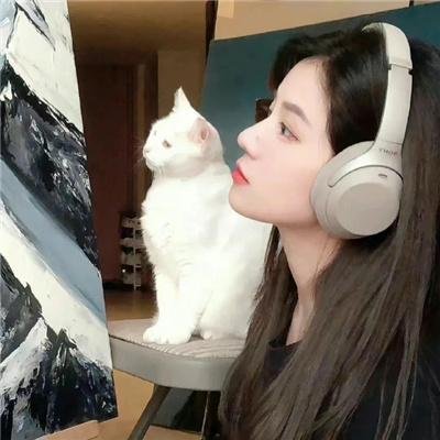 没牙的老虎